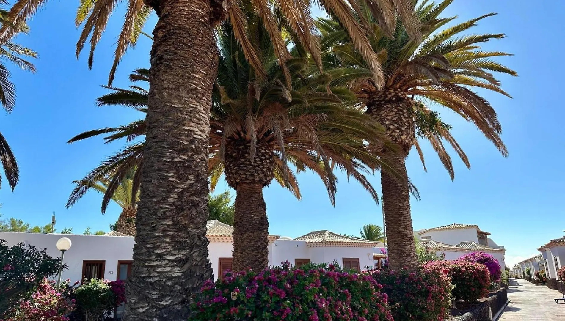 빌라 Casa Palmera Golf Del Sur 산미겔데아보나